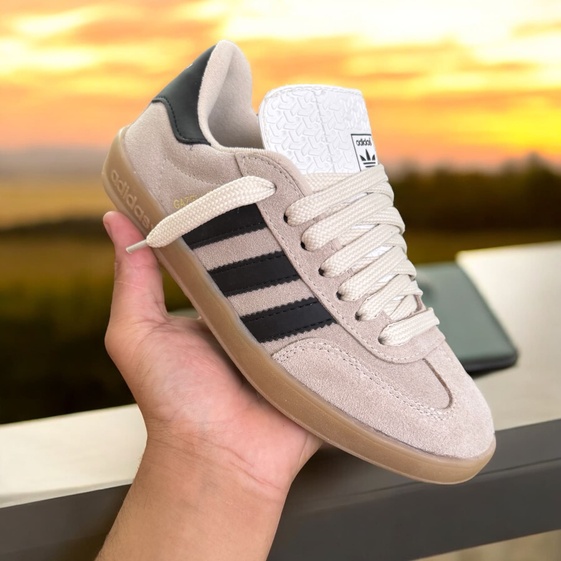 Gazelle cor 2