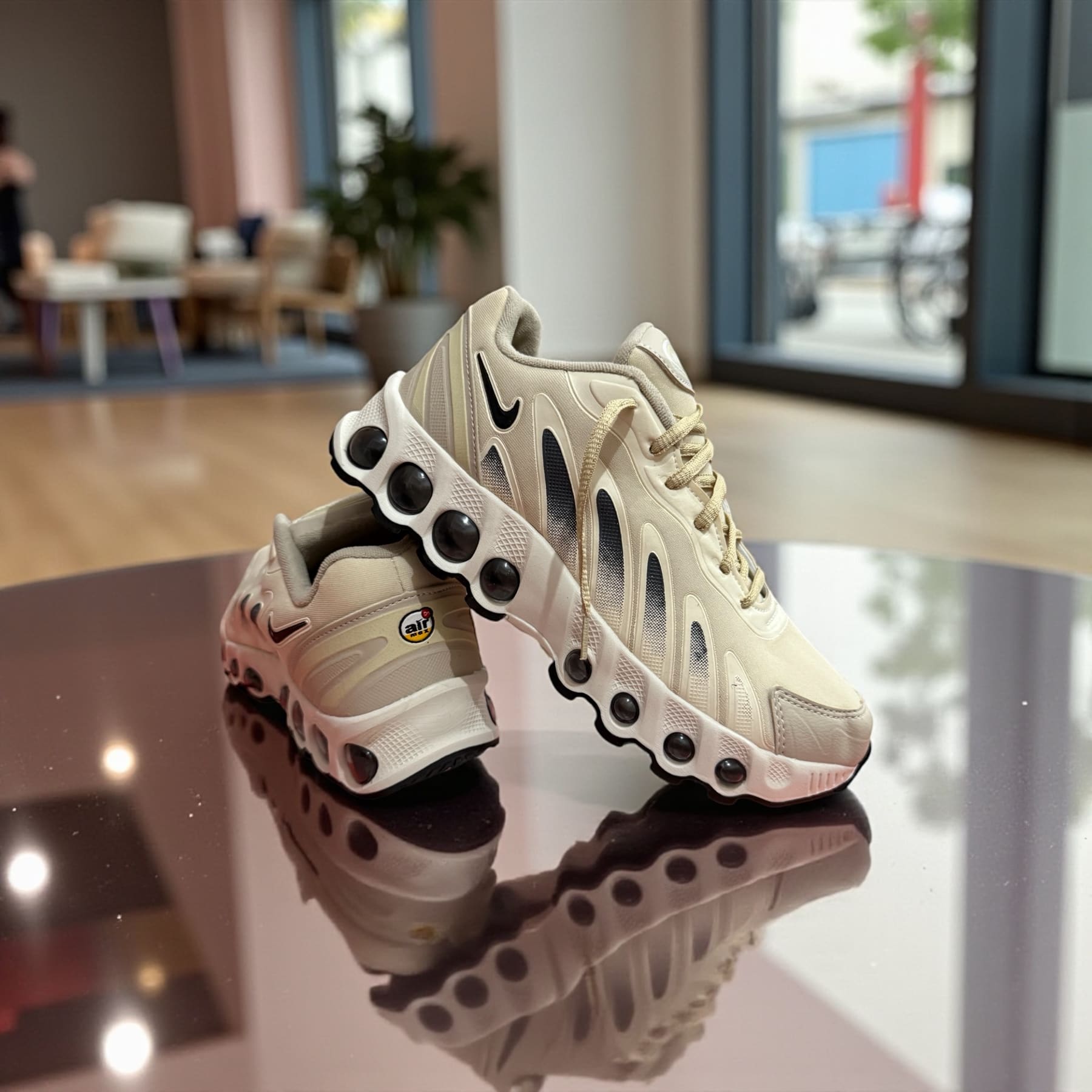 DN Max cor 5